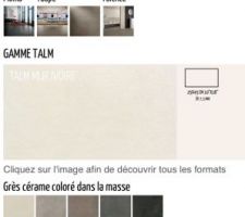 Faience de la salle de bain
Marque novoceram
Coloris talm ivoire, le sol de la salle de bain sera ivoire aussi