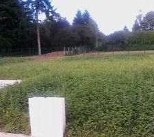 &agrave; d&eacute;fraichir un peu...