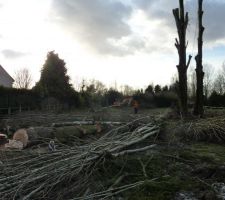 Préparation du terrain