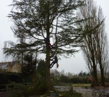 Préparation du terrain