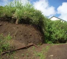 Terrain avant travaux