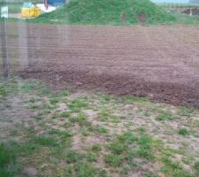 Après avoir passé le déchaumeur, Philippe (l'agriculteur), a passé la herse rotative, je n'avais plus qu'à semer la pelouse, ensuite il a passé le rouleau au tracteur !