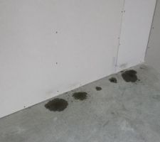 Orage du 4/08, encore de l'eau dans la maison