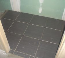 Carrelage SDB parents