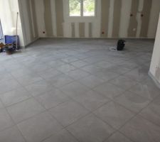 Carrelage du séjour