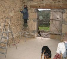 Décroutage des murs de l'entrée sous l'oeil expert de la gardienne de la maison...