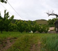 Petit soucis sur le terrain, les lignes EDF et Orange.
Celles-ci sont trop basses et atterriront dans la charpente. Elles devront &ecirc;tre d&eacute;plac&eacute;es par les deux entreprises, en esp&eacute;rant qu'elles ne tarderont pas...