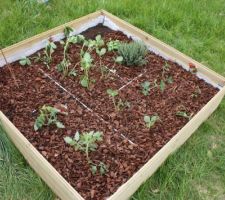 Carre potager et ses gourmandises