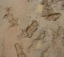 Voyez comme c'est humide, heureusement que j'avais mes bottes!!