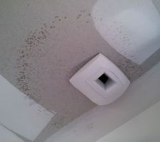 Moisissures sur le placo. Il y en a d autres endroits. L'humidite de la chape coule le long des menuiseries et se depose sur les placos. Resultat d une dalle non mis en chauffe, et coulée en absence de VMC. Personne ne vient aerer la maison.