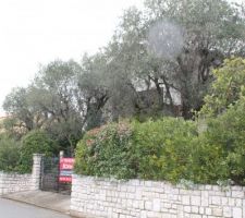 Voila la maison, et le jardin dans son état initial.