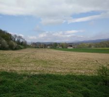 La vue de l'étage... La partie orties, c'est chez nous... Le reste, c'est le voisin! Au moins un voisin qui nous fait pas chi*%!  :D