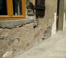 On le verra pas ici, mais dans le trou sous le volet, c'est mon nouveau copain! Un lézard qui se gène pas pour manger les mouches que je lui apporte. Oui je suis bizarre... Je fais des expérience :D