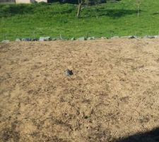 Enrochement au fond sur 15m de large et 2m de haut