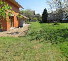 Tonte du terrain