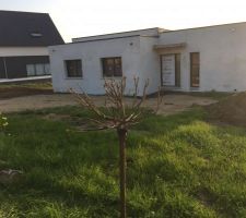 Avant remise en forme du terrain