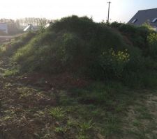 Avant remise en forme du terrain