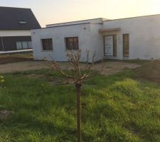 Avant remise en forme du terrain