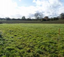 Implantation de la maison