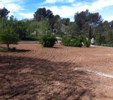 Le jardin côté Sud après le passage du tractopelle