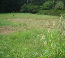 Terrain avant travaux