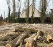 Notre magnifique terrain....!