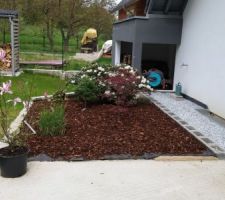 Espace plantation à l'arrière