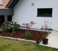 Espace plantation à l'arrière