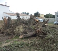 25.04.2015 : on essaye de d&eacute;couper le bois !