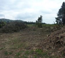 25.04.2015 : il faut trier !