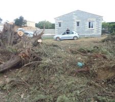 25.04.2015 : il y a encore du travail mais on avance !