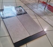 Notre choix choix côté carrelage, la plaque de gauche, gris avec des nuances nuances brunes, mais quine se voient pas très bien qur la photo.