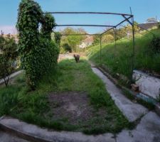 Le jardin à l'est vu depuis l'atelier (la perspective est exagérée par l'emploi d'un très grand angle).