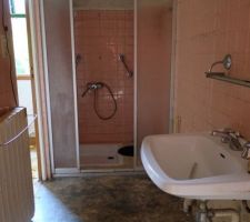 La salle de bain du RDC ... peut être la future cuisine