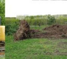 Souches de gauche à droite : résineux, eucalyptus, peuplier