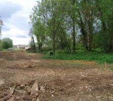 Défrichage en cours pour la voirie du lotissement