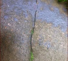 Fissure all&eacute;e