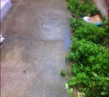 Autre photo de l'all&Atilde;&copy;e