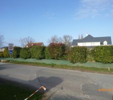 Les voisins de l'autre côté de la rue