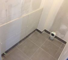 Dans les toilettes  en cours