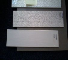 Echantillons r&eacute;cup&eacute;r&eacute;s aujourd'hui s&eacute;rie 'week end ' de marazzi, format 10x30