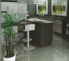 Nous sommes dans le choix de la cuisine qui seras totalement ouverte sur le s&eacute;jour. 
Plusieurs solutions nous sont propos&eacute;es.
Ici un ilot pas tr&egrave;s large (1 meuble) mais avec un coin repas dans le sens de la largeur...