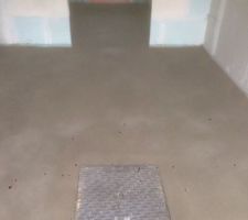 CHAPE DU GARAGE AVEC ACCES AU V.S