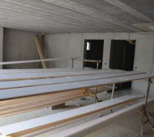 Peinture planche de rive