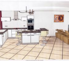 Futur cuisine mais n'ai pas encore d'accord sur les couleur menuiserie 
hesite entre gris et plan de travail blanc 
ou noir et plan de travail blanc
bien sur tt est en glossy
