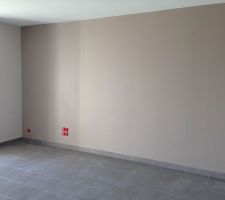 Salon avec le mur coloré
