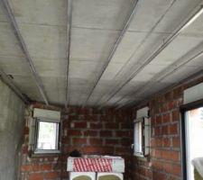 Rail pour placo au plafond