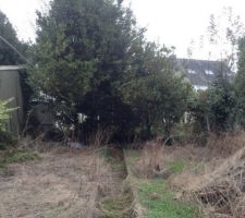 Jardin en friche