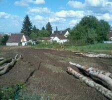 Muret gris dans le fond correspond aux lots 10 et 12