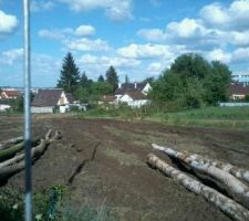 Muret gris dans le fond correspond aux lots 10 et 12